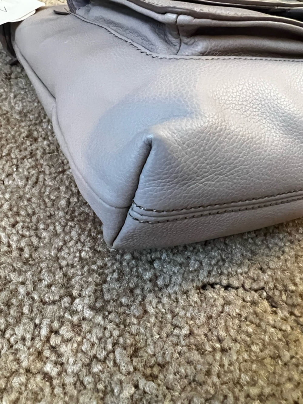 Fossil Light Taupe Crossbody Bag - Picture 3 of 16